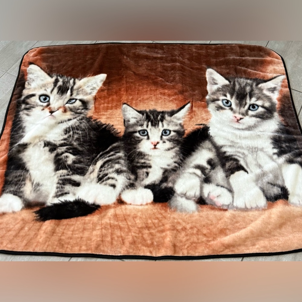 Three Cats Kittens Plush Throw Blanket Polyester 50" x 60" Double Sided